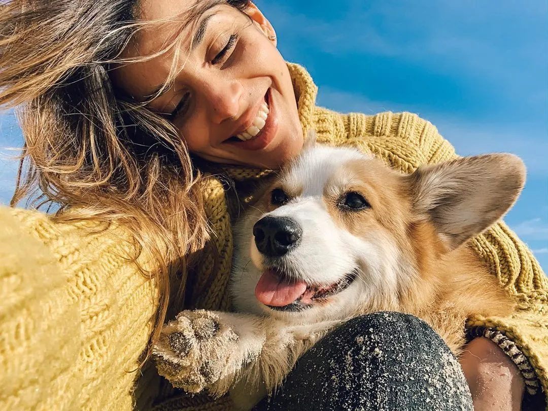 Argentina figura entre los países con mas perros del mundo.