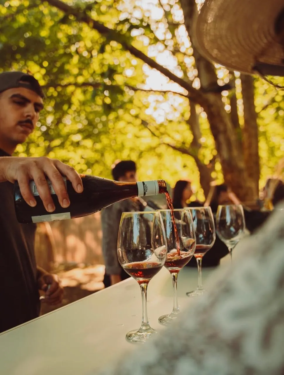 La frescura de sus vinos acompañaron la tarde. 