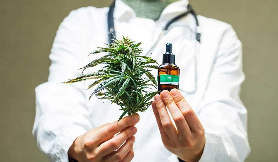 El cannabis medicinal representa una alternativa de salud en constante crecimiento.