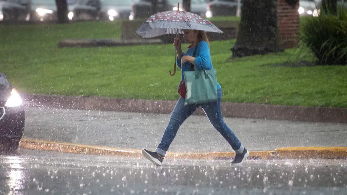Super Niño en Argentina: qué tiene de especial el fenómeno y qué anticipó el SMN sobre las lluvias y el frío