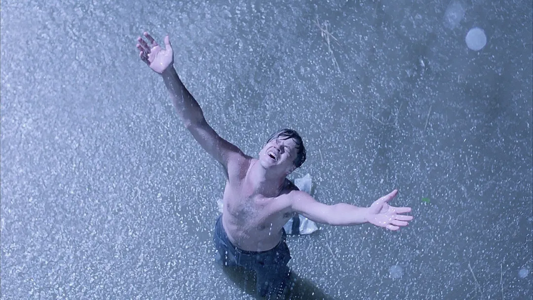 A 32 años de su estreno, la película basada en una obra de Stephen King puede verse actualmente en Netflix Argentina.