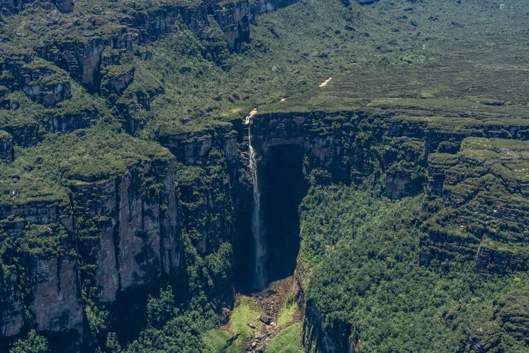 La cascada de Venezuela que casi alcanza 1 kilómetro de altura y supera ...