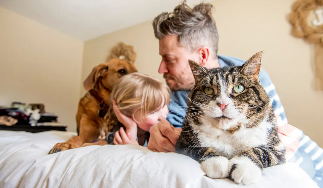 Este modelo familiar amplía los vínculos afectivos al incluir a perros, gatos  y otras especies como compañeros fundamentales.