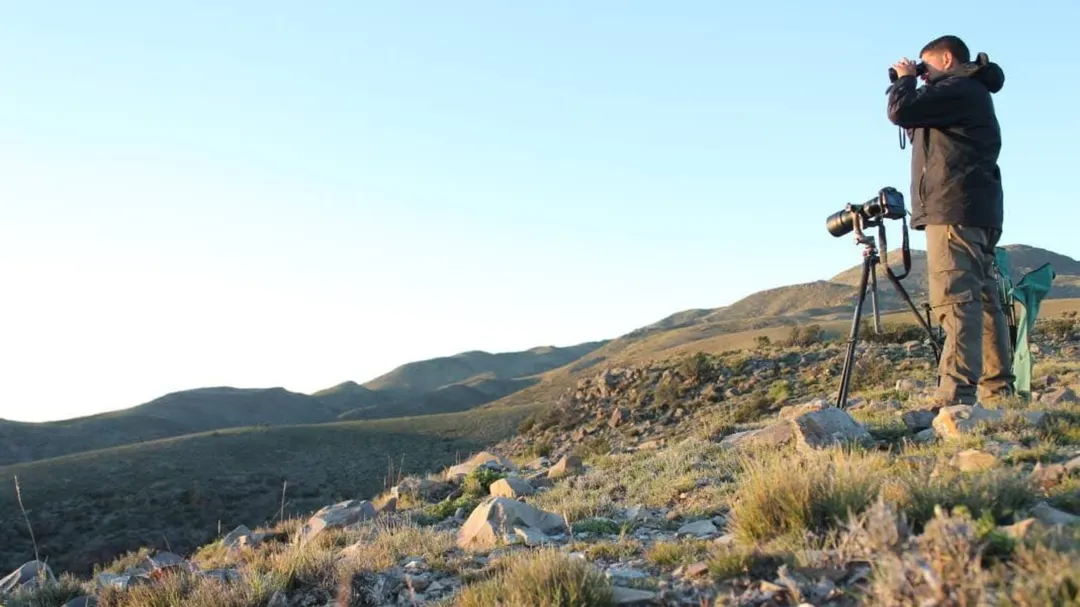 La relevancia de estos ecosistemas trascendió las fronteras de Mendoza en 2017, cuando la Reserva fue incorporada a la Lista de Humedales de Importancia Internacional de la Convención Ramsar.