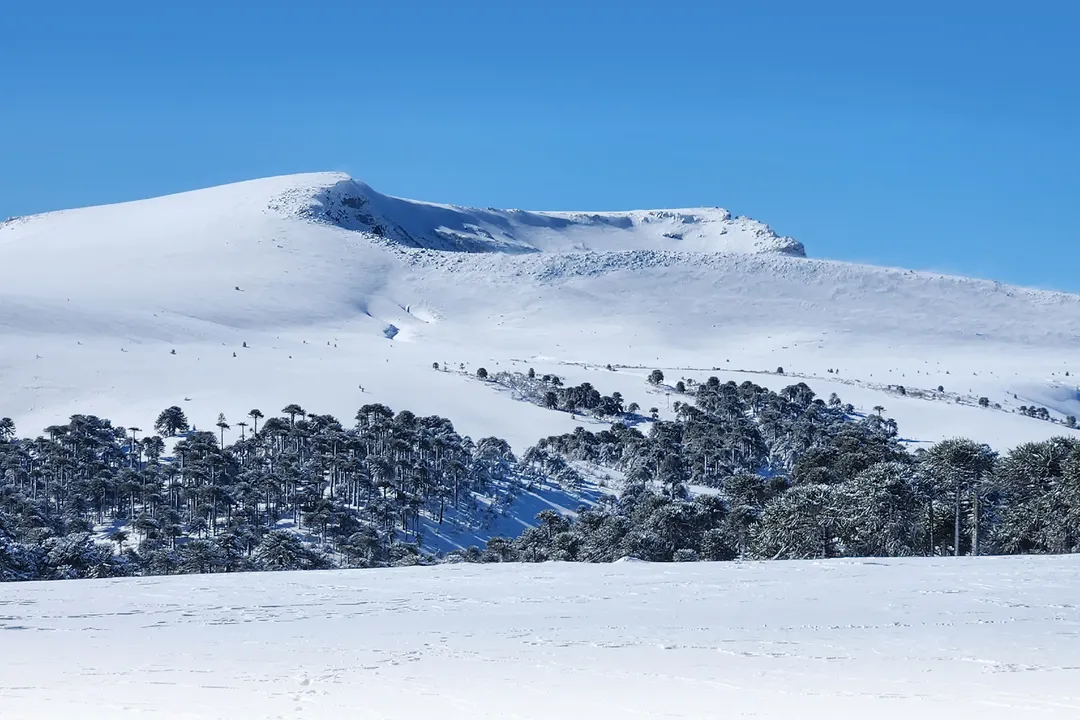 Parque de nieve Batea Mahuida.
