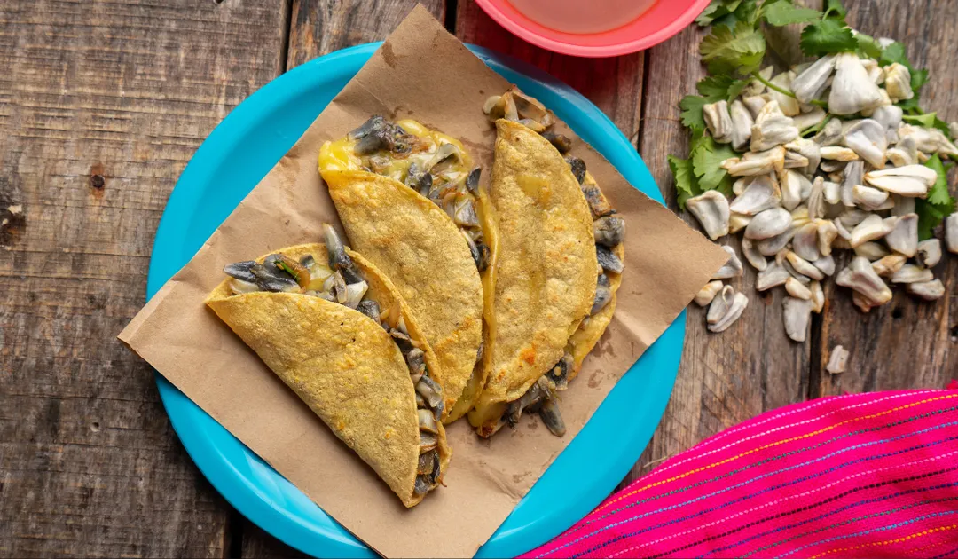 En muchas comunidades indígenas, la receta de huitlacoche se ha transmitido por generaciones, manteniéndose casi idéntica desde la época prehispánica.