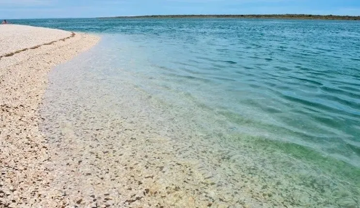 La playa de Punta Perdices. 