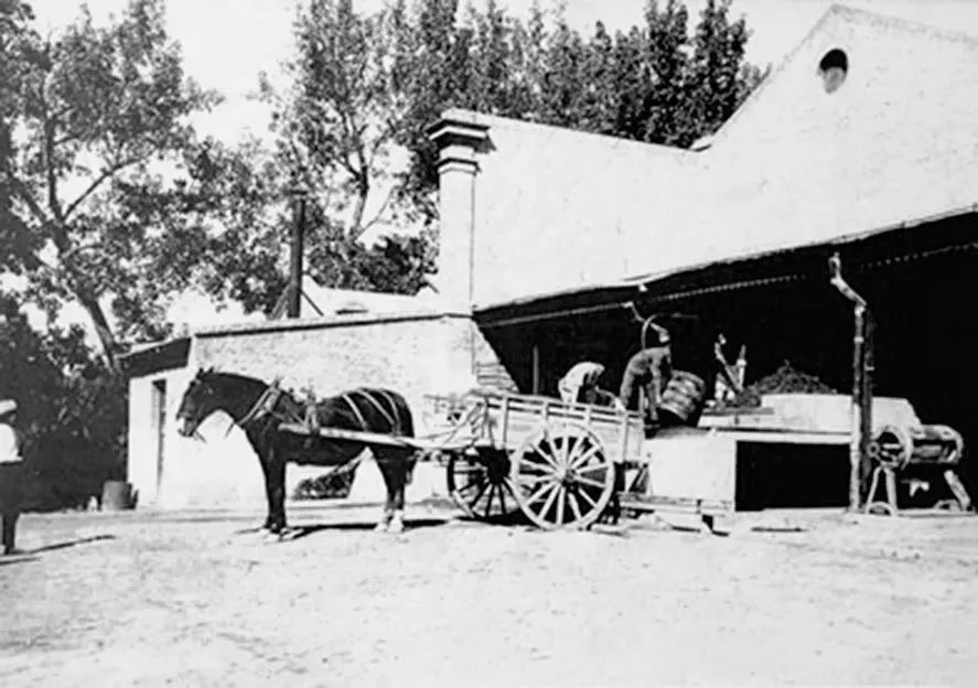 La Enoteca era una bodega a pequeña escala.