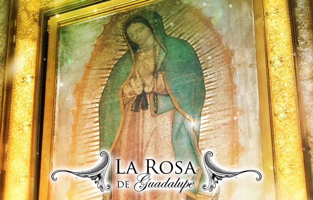 RATING. La Rosa de Guadalupe