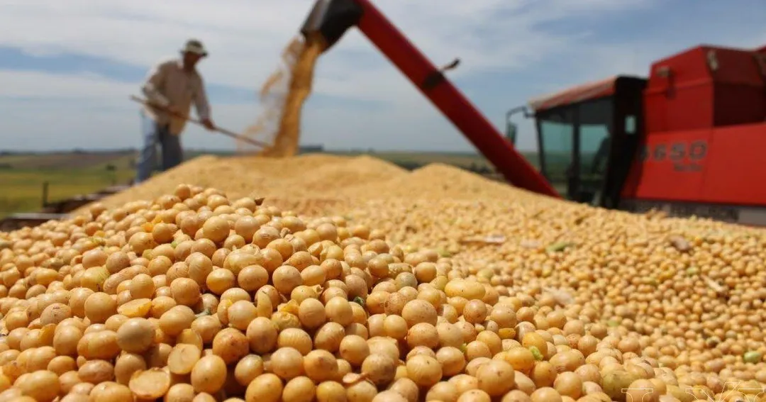 Agrospot se posiciona como una solución para reducir distancias, optimizar logística y ordenar la toma de decisiones en la venta de granos.