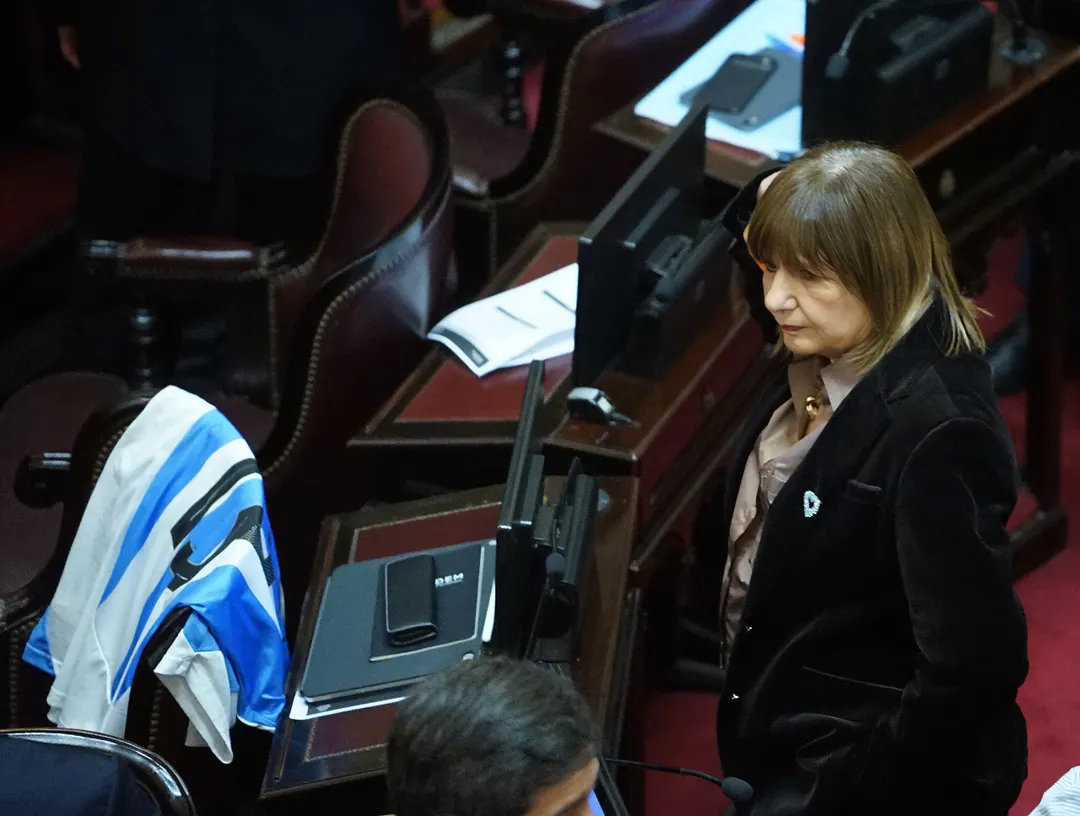 Patricia Bullrich en el recinto del Senado en la previa de la sesión.