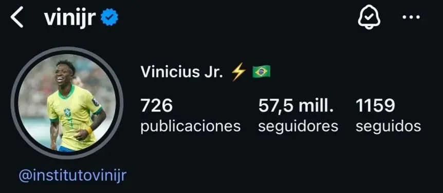 Vinicius cambió la foto de perfil de su Instagram tras los silbidos en el Bernabéu.