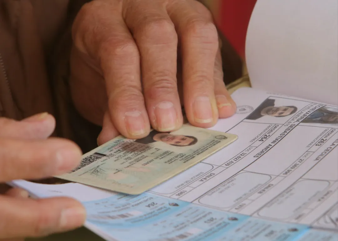 Las PASO, el sistema a mantener según el PRO