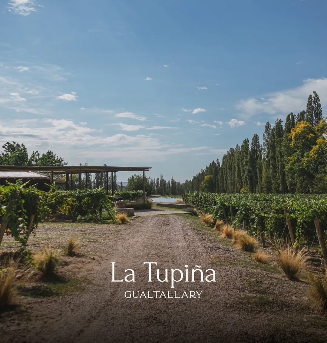 El paisaje de la Tupiña mendocina.