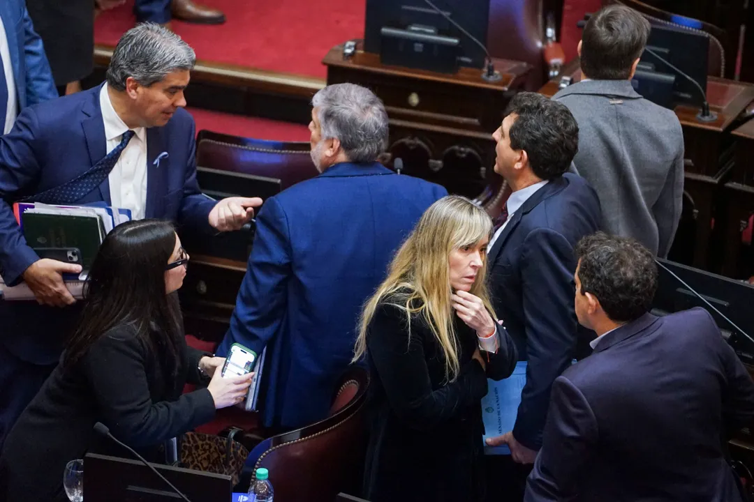 El bloque kirchnerista de senadores de UP.