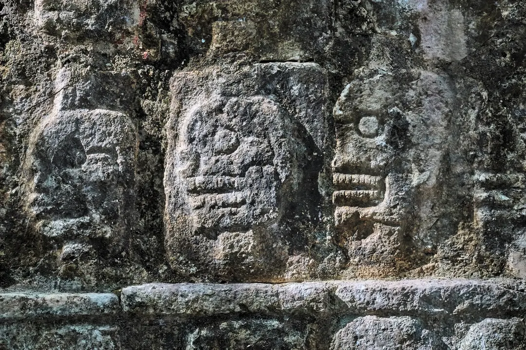 La estatuilla de dos sapos encontrada en Vichama fue presentada en el Ministerio de Cultura de Perú.