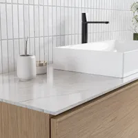 La planta que transforma tu baño, según el Feng Shui: no es la que creés