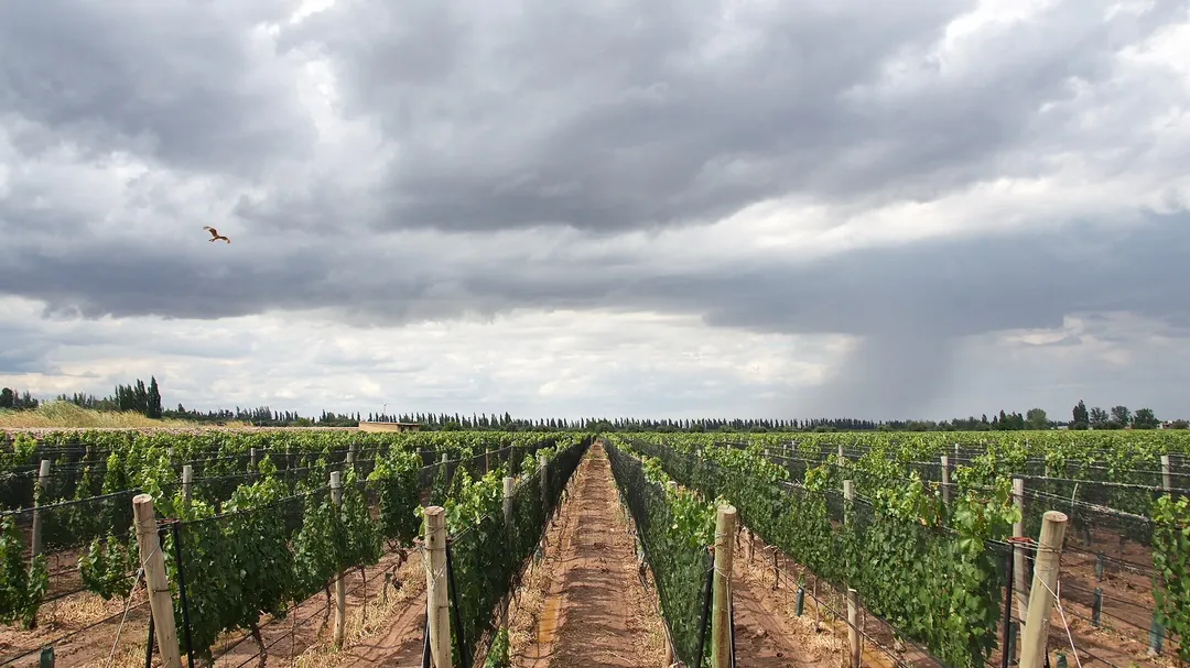El este y sudeste de Mendoza podrían registrar tormentas durante la tarde del domingo.