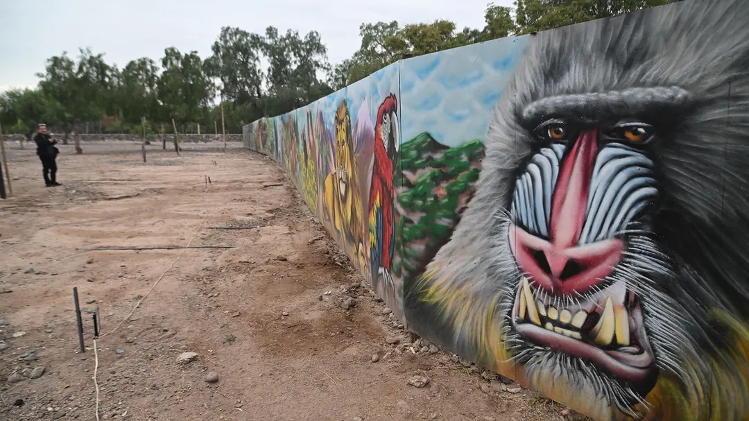 Un gran mural divide la zona abierta al público de la reservada para los mil animales que viven en el Ecoparque.