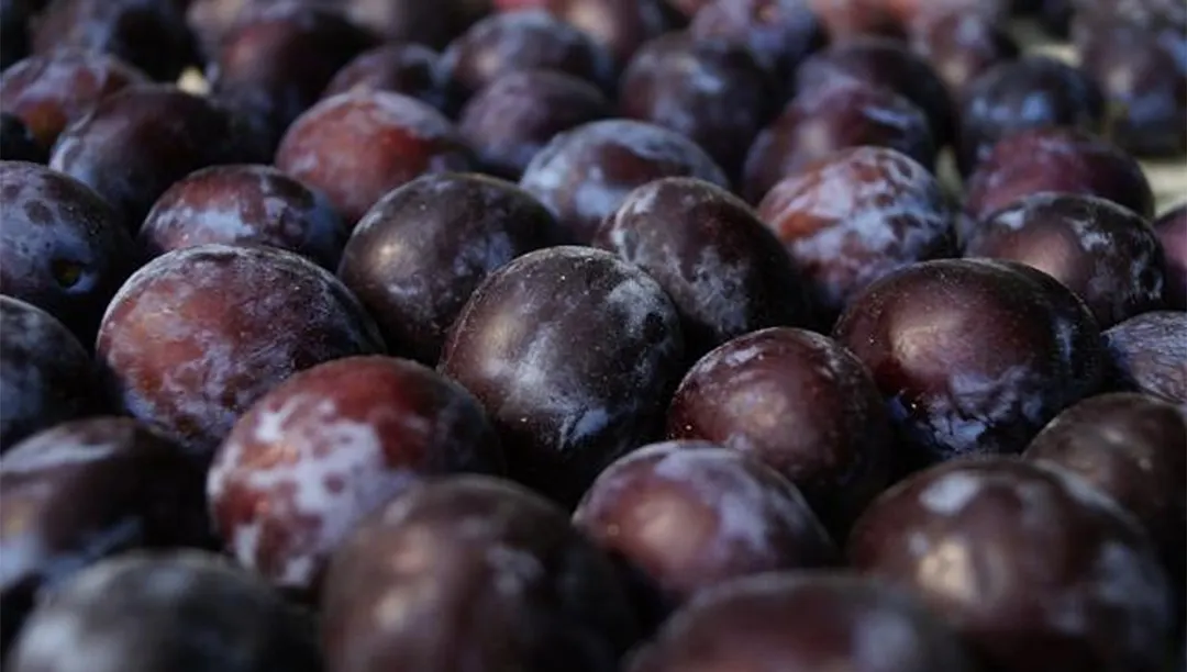 Las frutas frescas son ideales para la digestión.