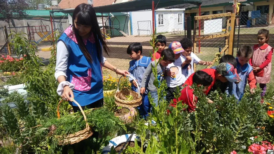Acompañamos el desarrollo de huertas agroecológicas.