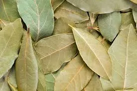 El laurel mejora la textura de la piel. 