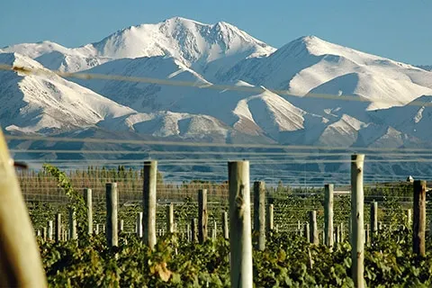Durante el fin de semana, Mendoza recibió cerca de 56.000 visitantes.