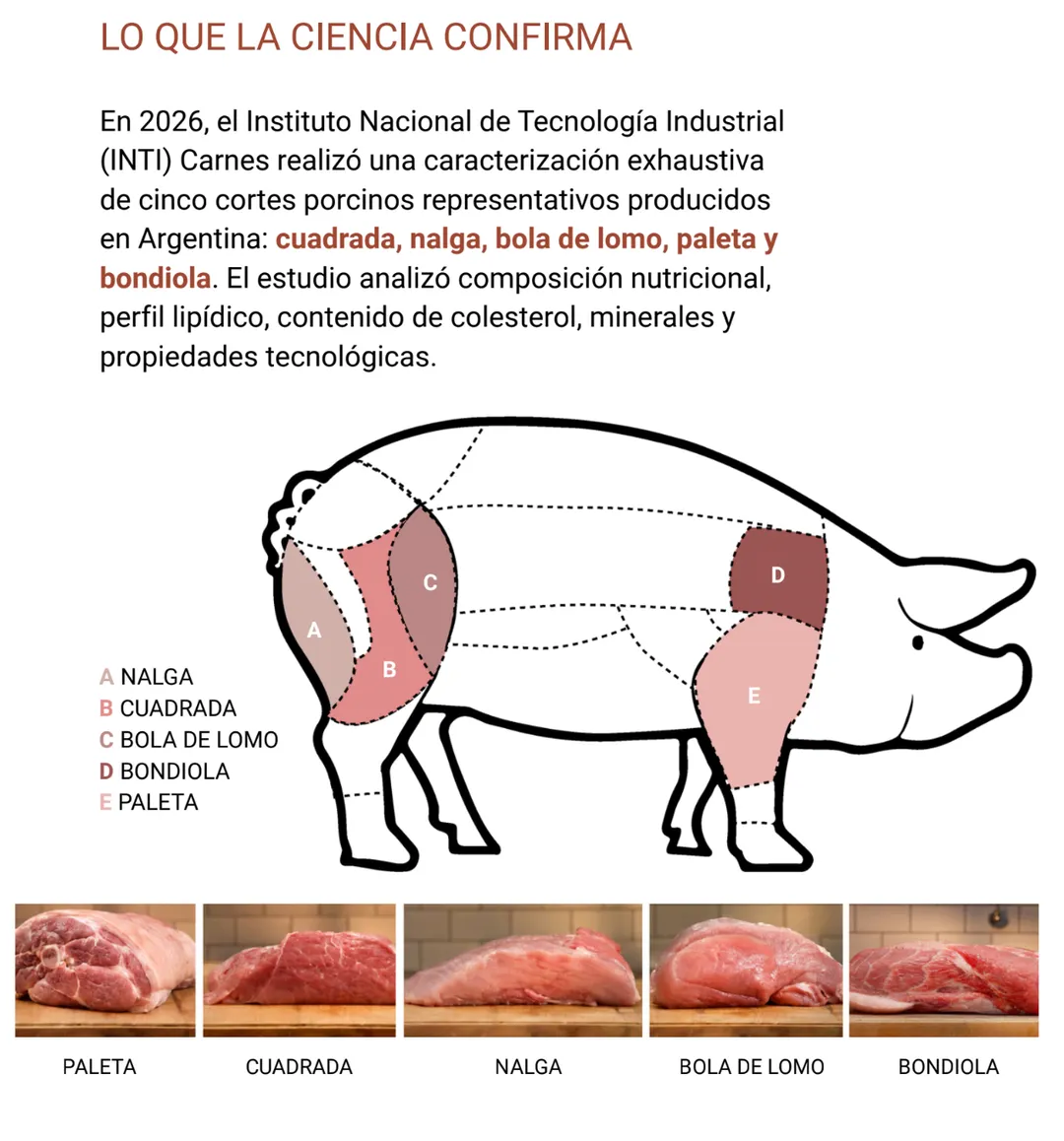 Los cortes de carne porcina que se analizaron en el estudio.