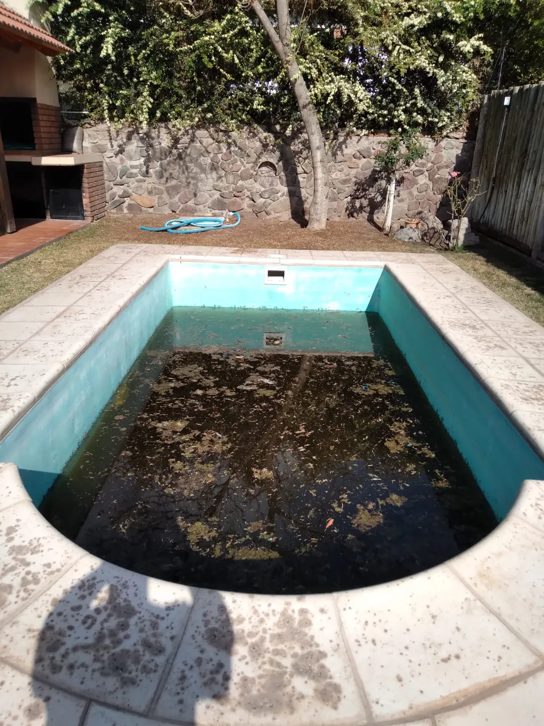 El calor acelera el deterioro del agua y obliga a reforzar el mantenimiento; especialistas detallan precios y recomiendan rutinas simples.