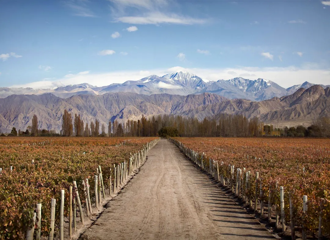 El rincón de Mendoza que aumentó más de 200% sus búsquedas para el ...