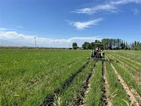 La agricultura es protagonista entre los distintos ejes que atraviesan la feria.