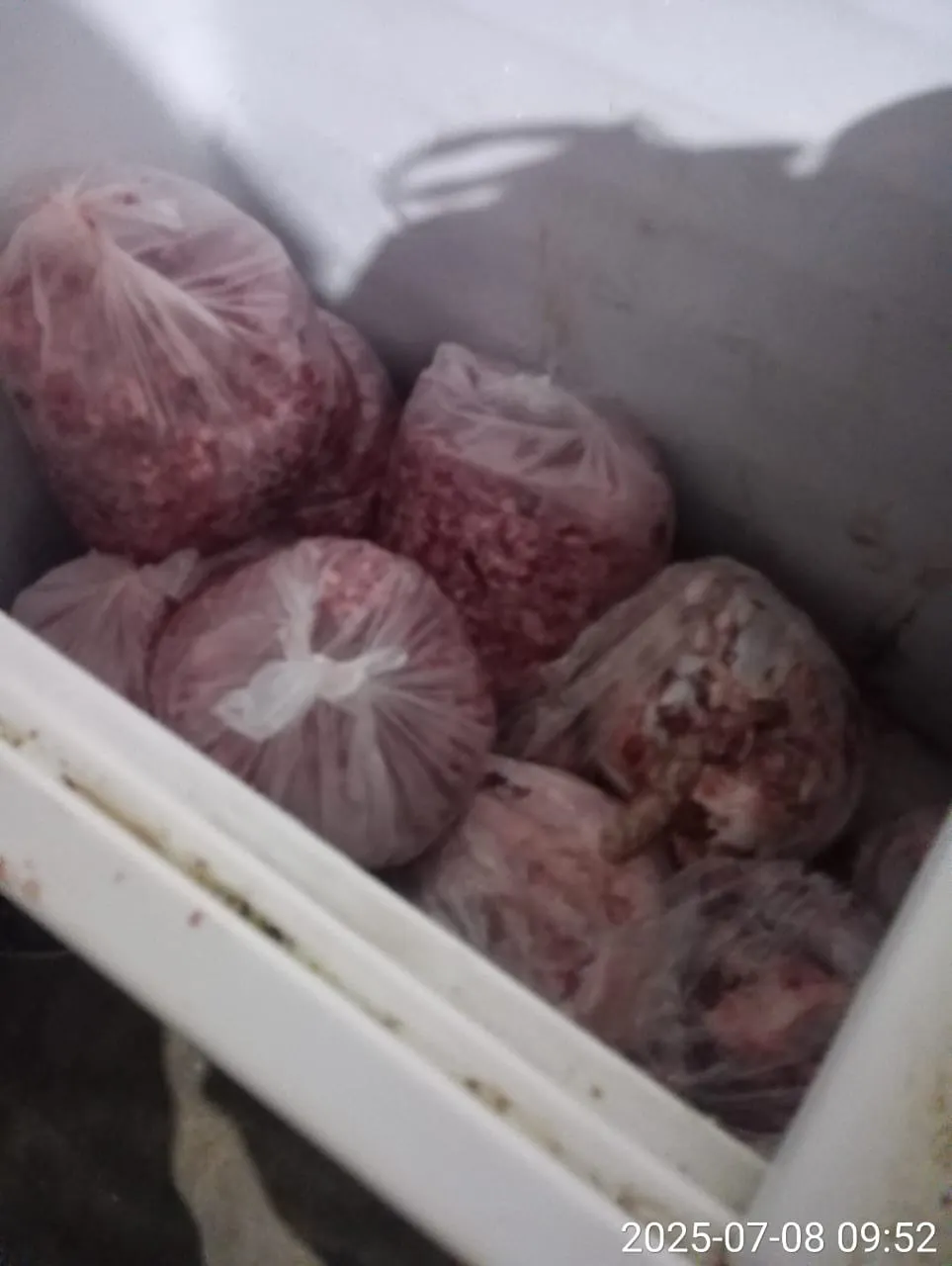 Los efectivos encontraron carne molida en mal estado fraccionada en bolsas de nylon