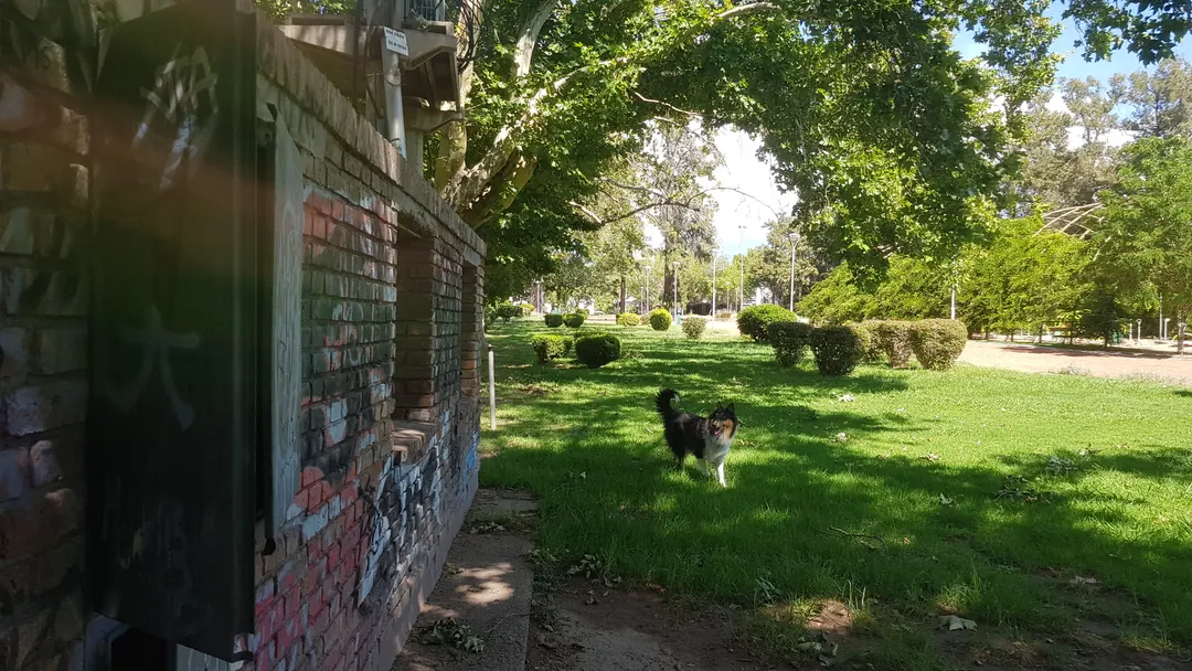 En una zona clave del Parque Cívico, rompieron cajas de Edemsa con cables de alta tensión visibles a pocos metros de juegos infantiles.