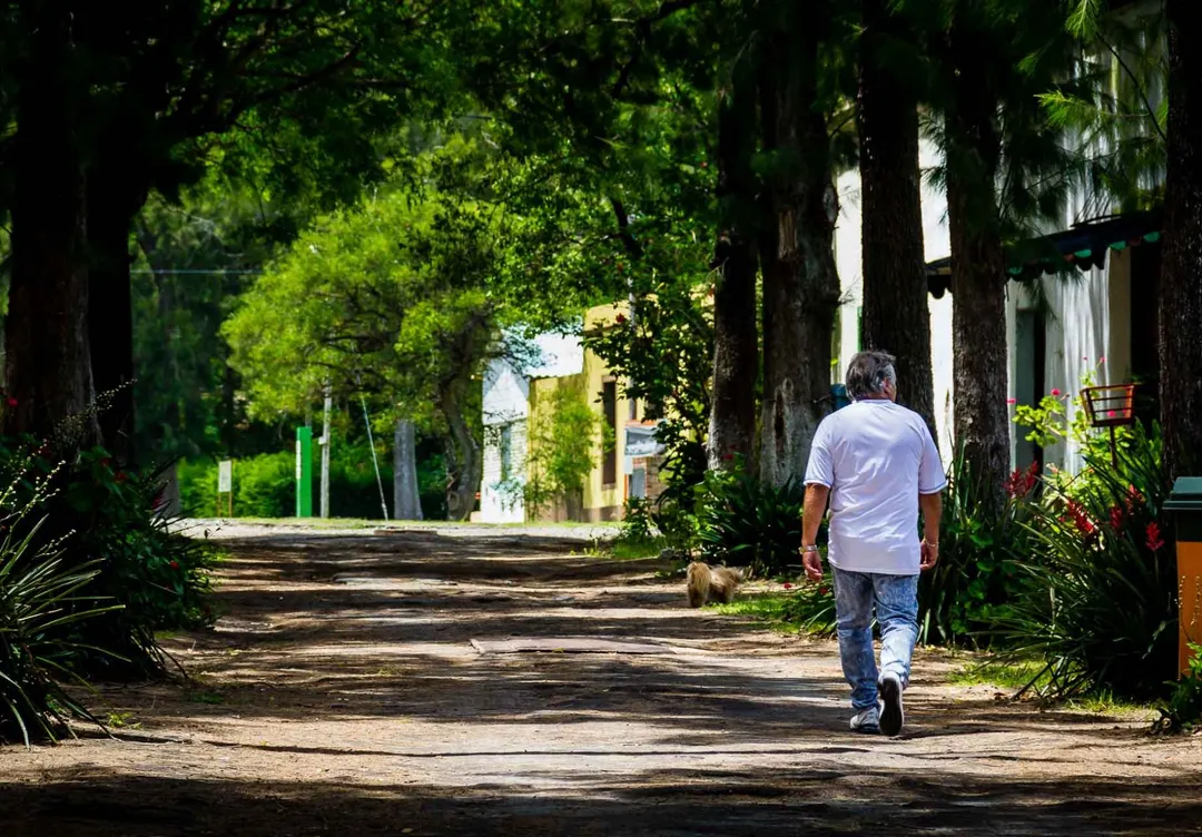 A solo dos horas de Buenos Aires, la Isla Martín García invita a desconectarse entre naturaleza e historia.