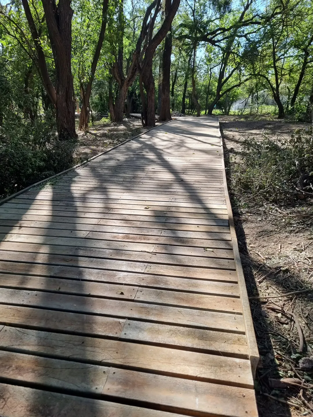 Pasarela del Parque San Martín construida con plástico reciclado.  