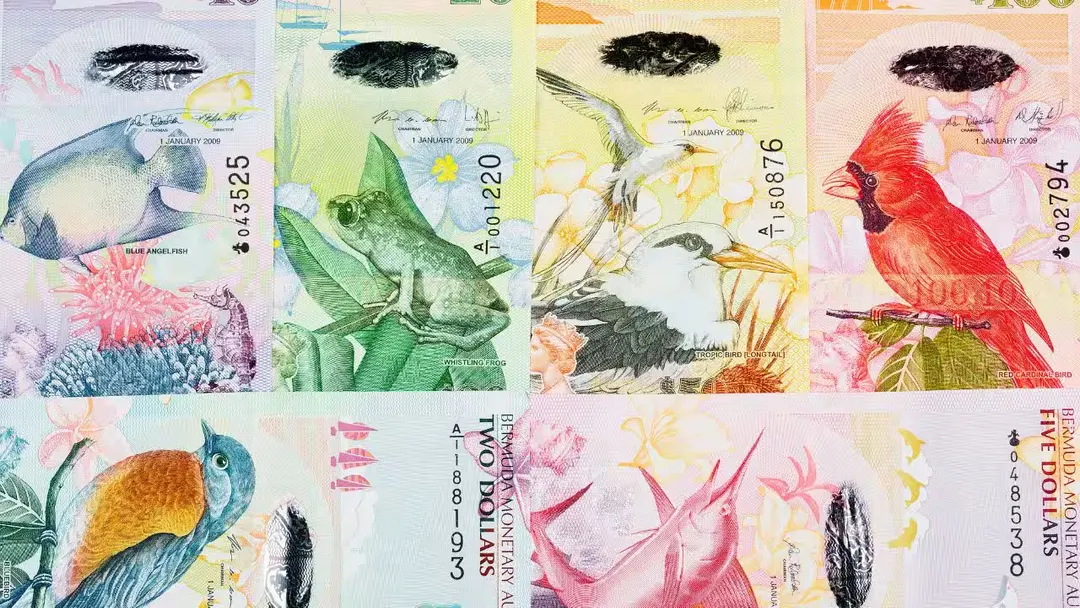 Los billetes de dólares de Bermudas son mundialmente aclamados por coleccionistas debido a su estética elegante, colores vibrantes y orientación vertical única, rompiendo con el formato tradicional de las monedas globales. Dos de sus denominaciones han recibido los galardones de diseño más prestigiosos del planeta.