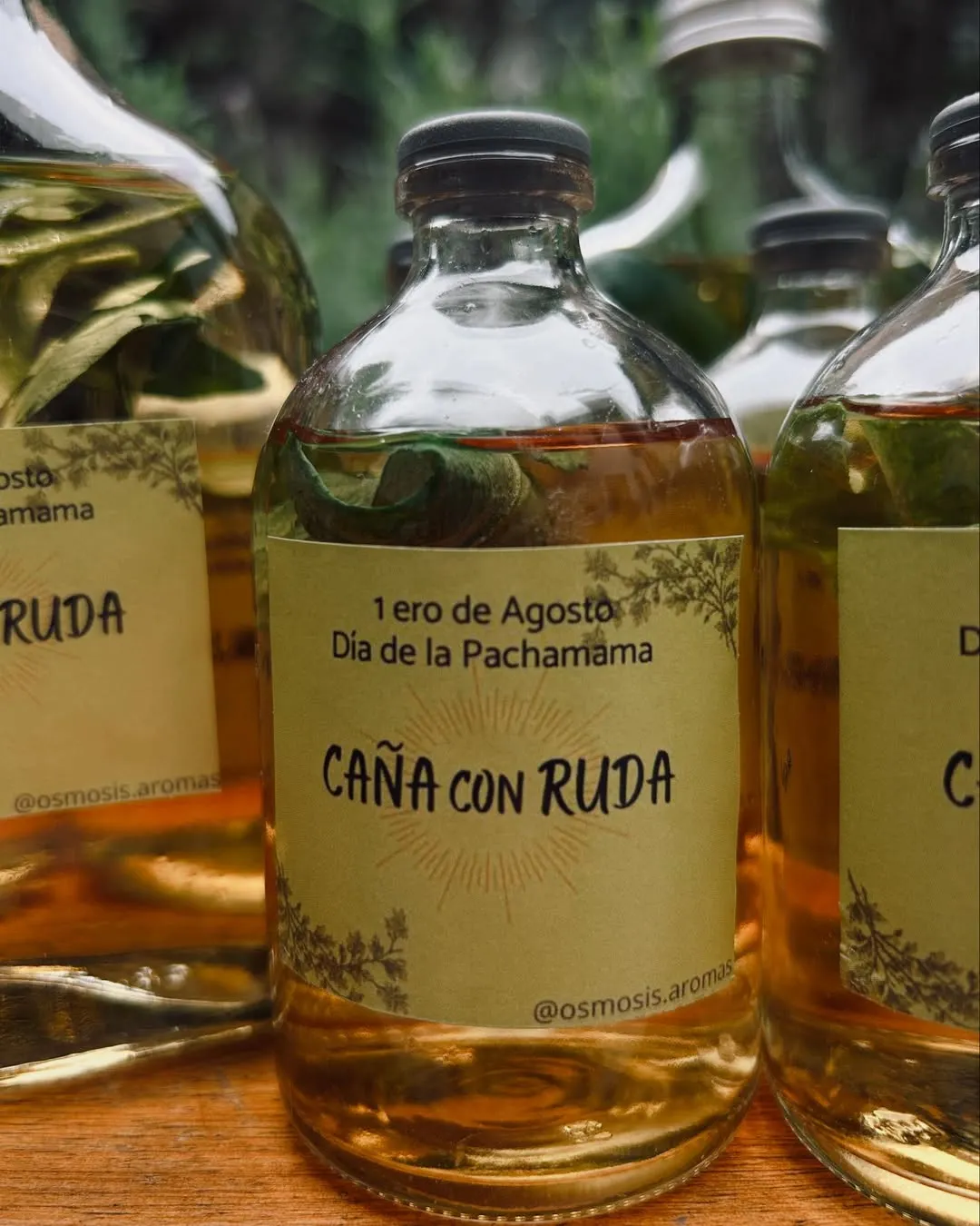 cada 1 de agosto, mucho toman un sorbo de caña con ruda al amanecer.