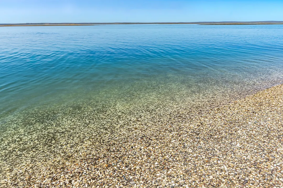Punta Perdices