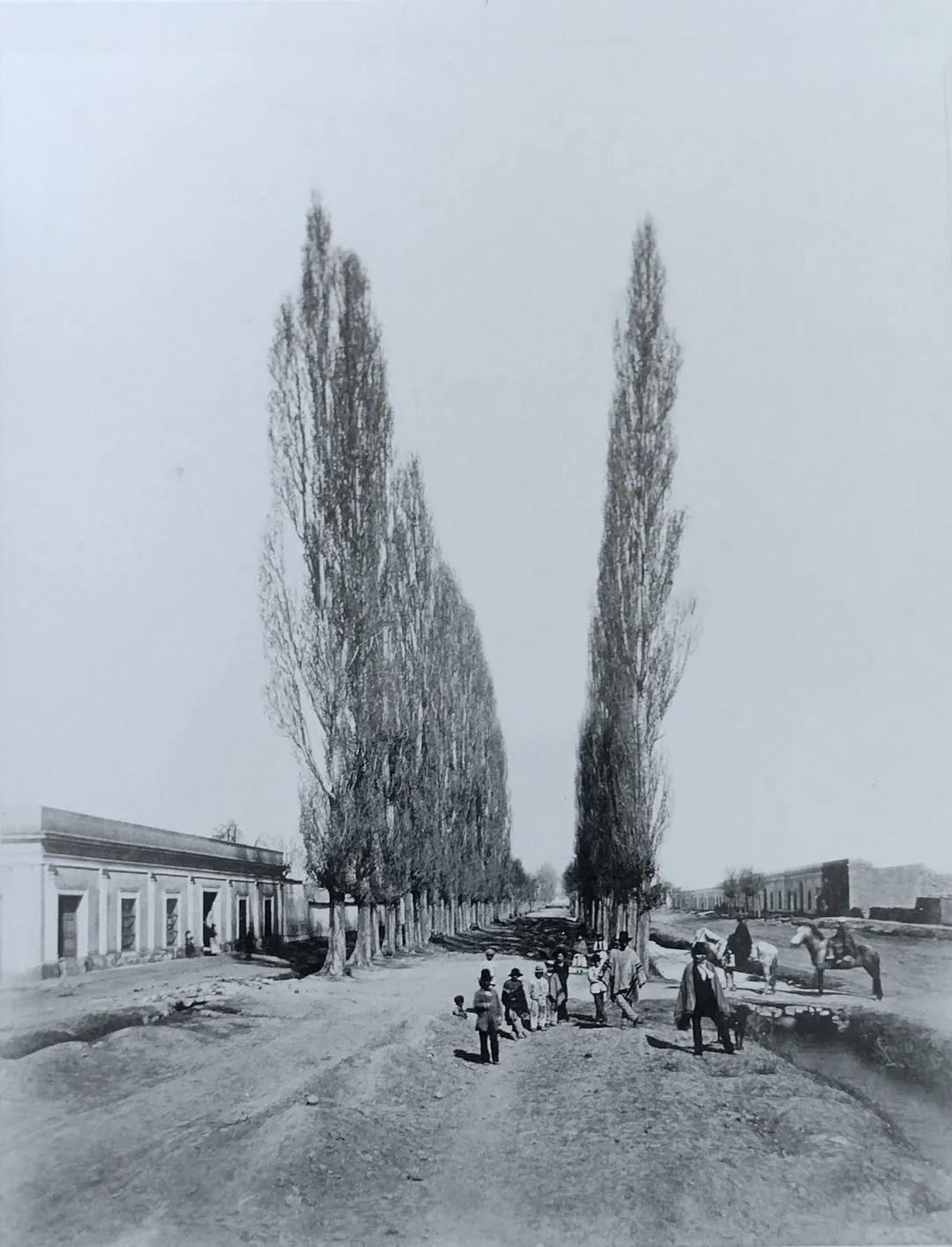 Así se veía la Alameda en el 1800.