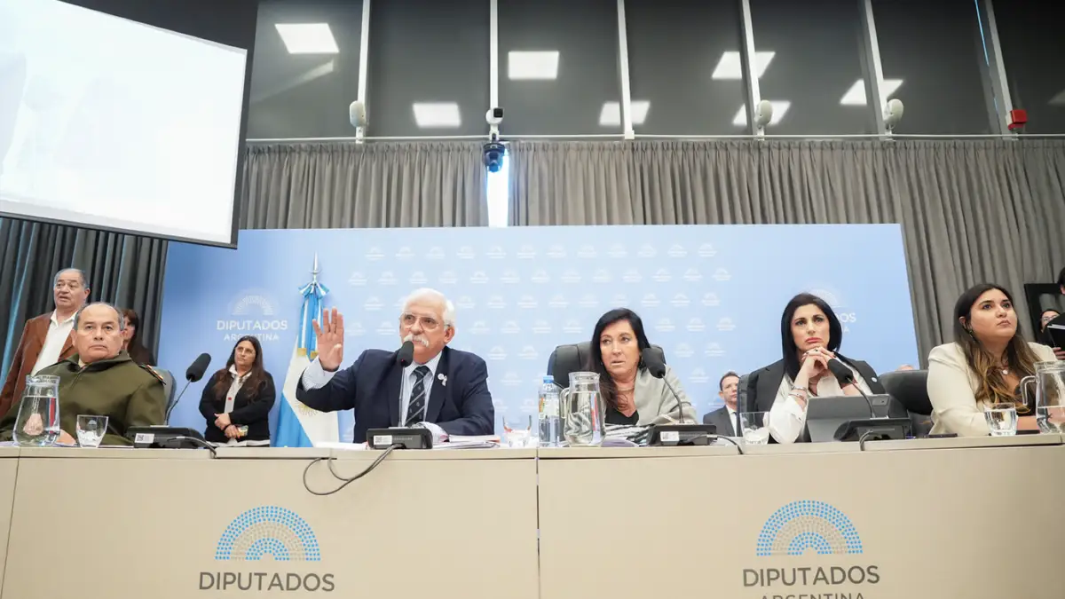 Reunión informativa en la Cámara de Diputados por el proyecto de ley de Defensa de la Soberanía Nacional.
