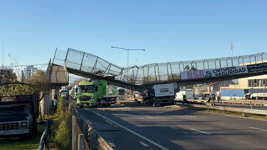 El accidente en la Panamericana que generó demoras y caos.