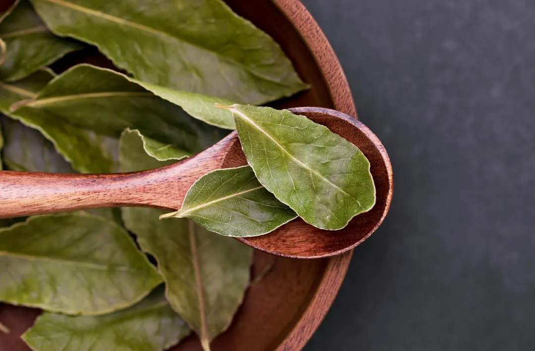 Las hojas de laurel son el repelente natural más efectivo para proteger tus alimentos secos. Foto: Archivo