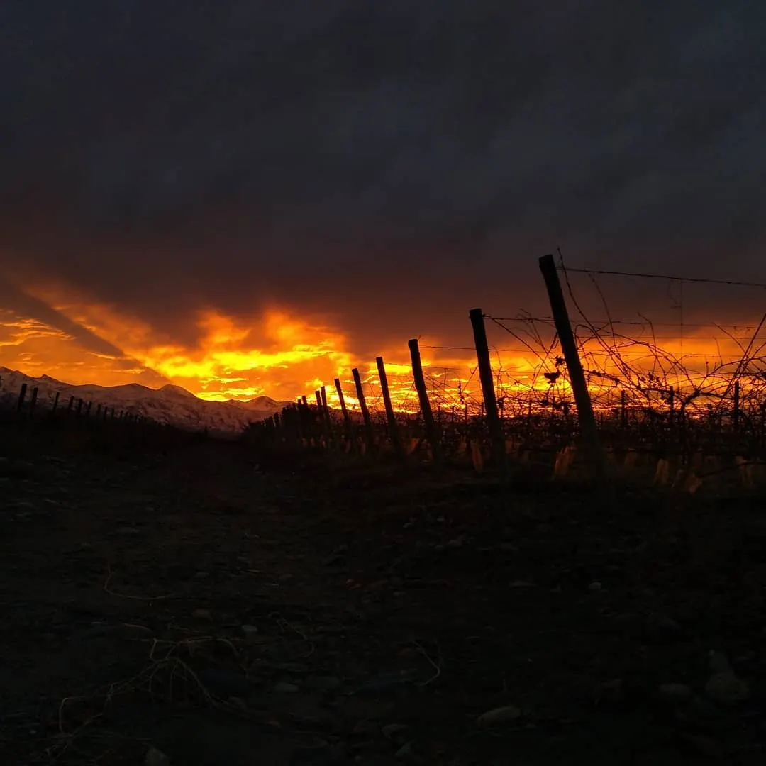 Atardecer en Mendoza. Foto de Instagram de @cacahuetito_x.x
