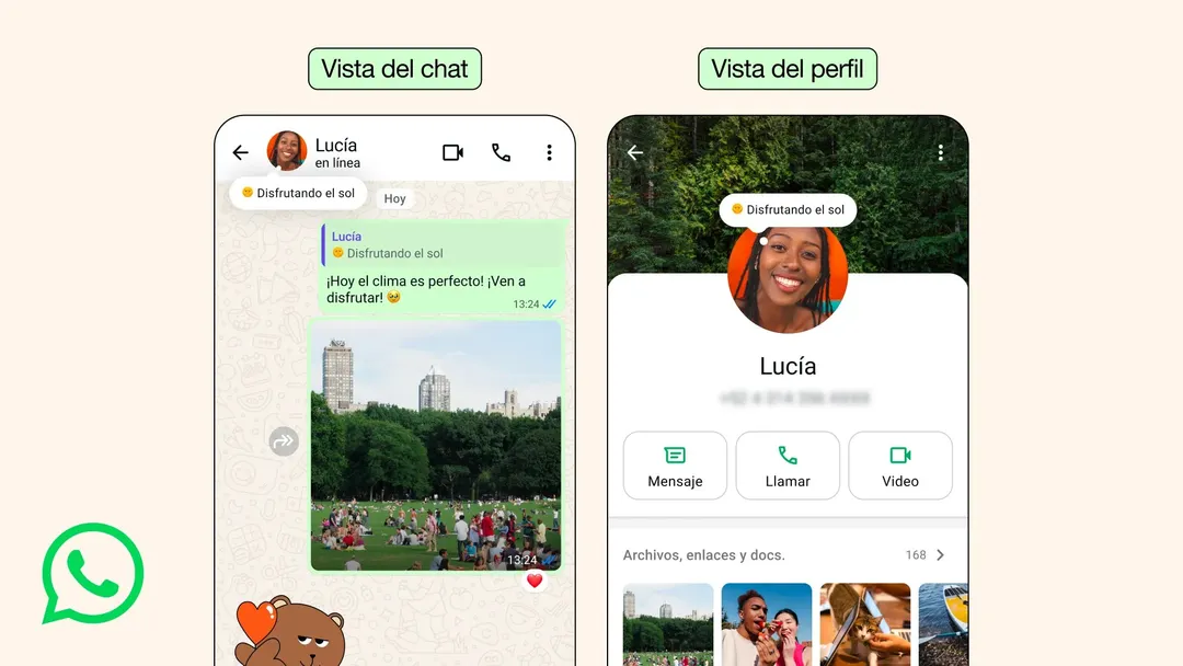 La sección Info vuelve como una función renovada dentro de WhatsApp.