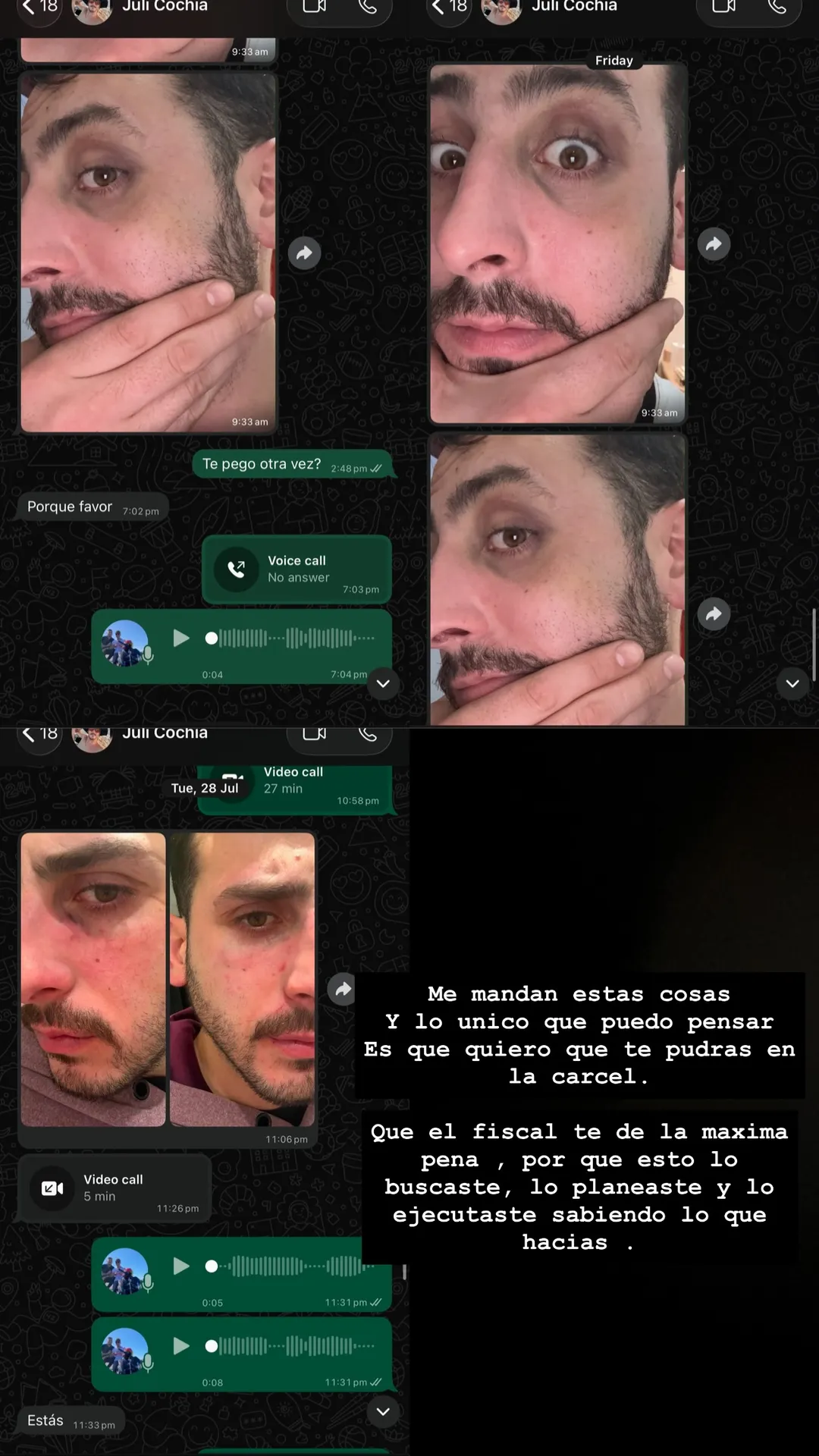 Los mensajes que envió Julián Guardia a un amigo.