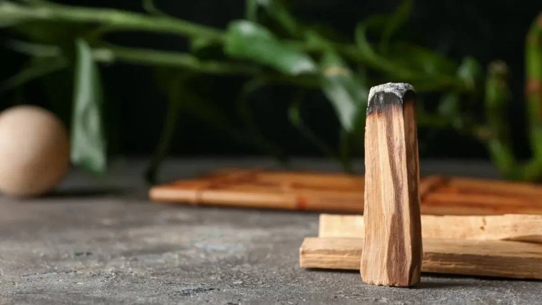 Un palo santo