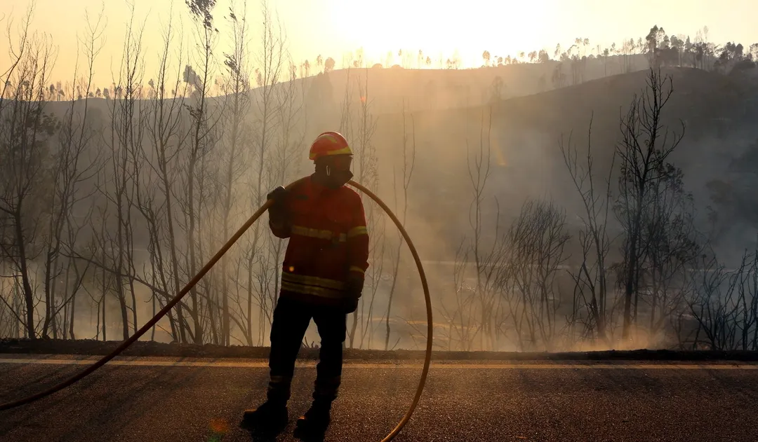 Francia soporta un incendio forestal histórico. Foto: Dpa 