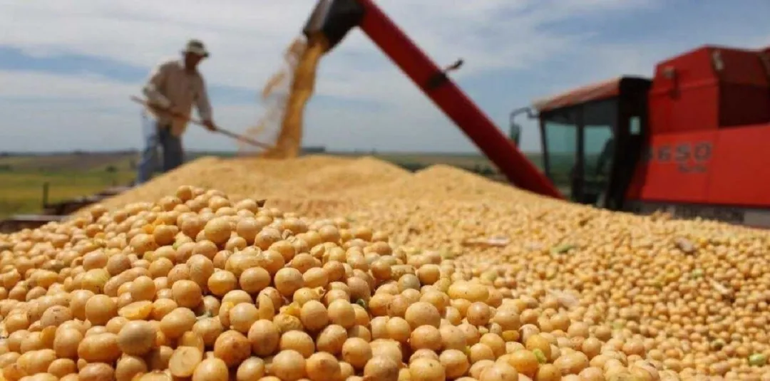 El Gobierno eliminó exigencias para los exportadores de granos y otras actividades. Foto: Noticias Argentinas