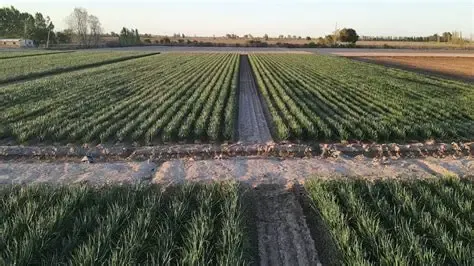 El financiamiento aparece como la principal traba para inversiones de este tipo.