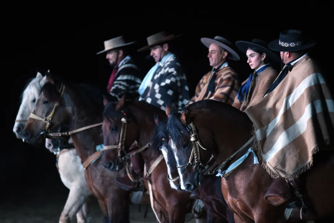 Los caballos criollos, ejemplares espectaculares.